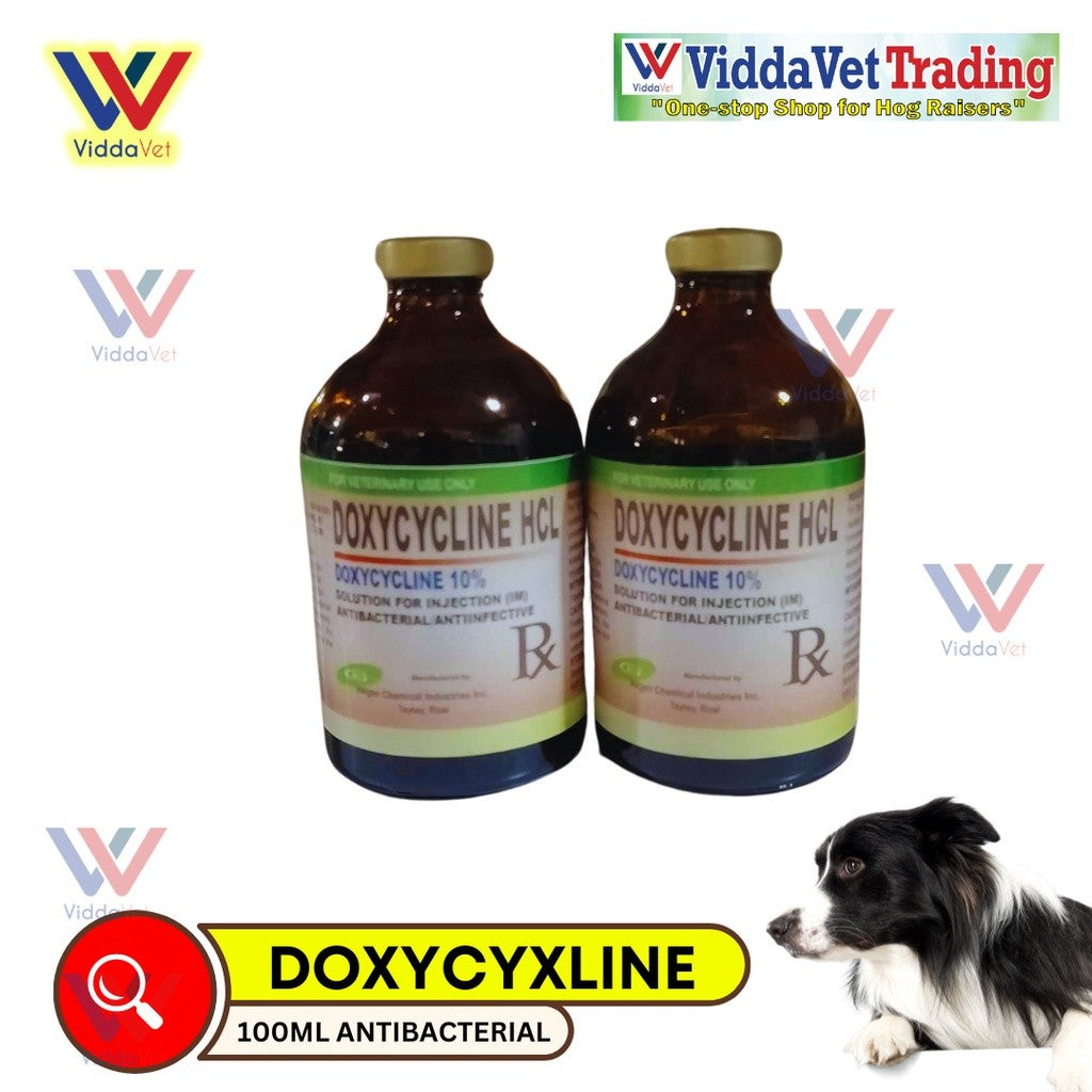 DOXYCYCLINE HCL 100ml