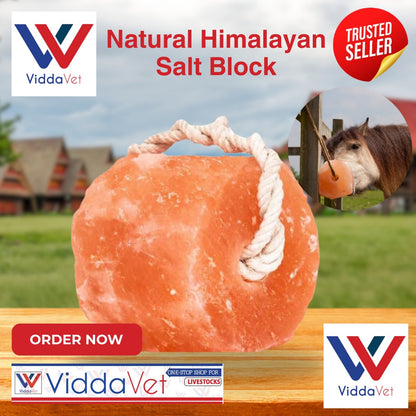Natural Himalayan Salt Block