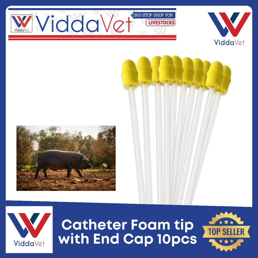Foam Tip Catheter with End Cap for Gilts 10pcs