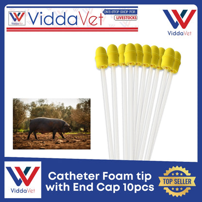 Foam Tip Catheter with End Cap for Gilts 10pcs