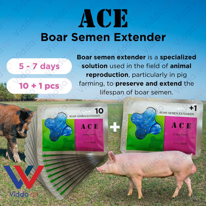 Ace Boar Semen Extender 5 to 7 days 10pcs + 1 Free