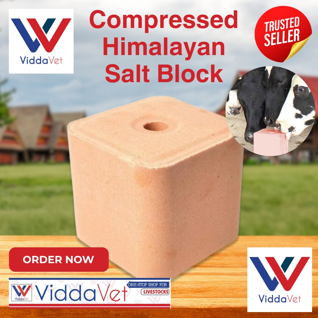 Pure Himalayan Mineral Block