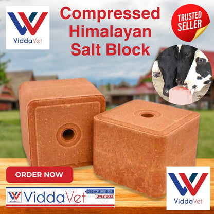 Pure Himalayan Mineral Block