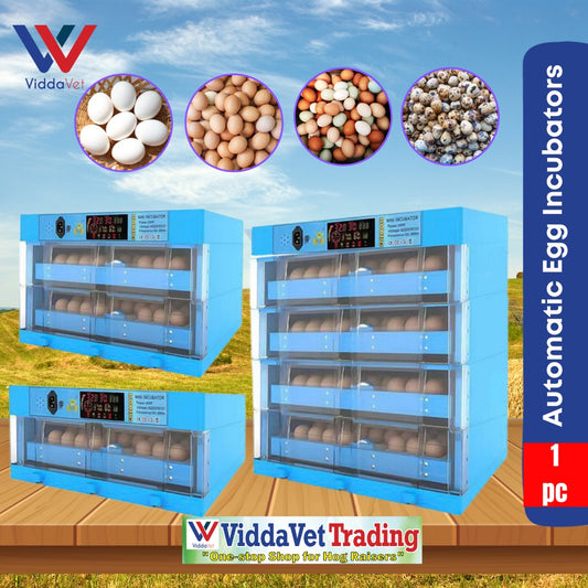 Automatic Eggs Incubator