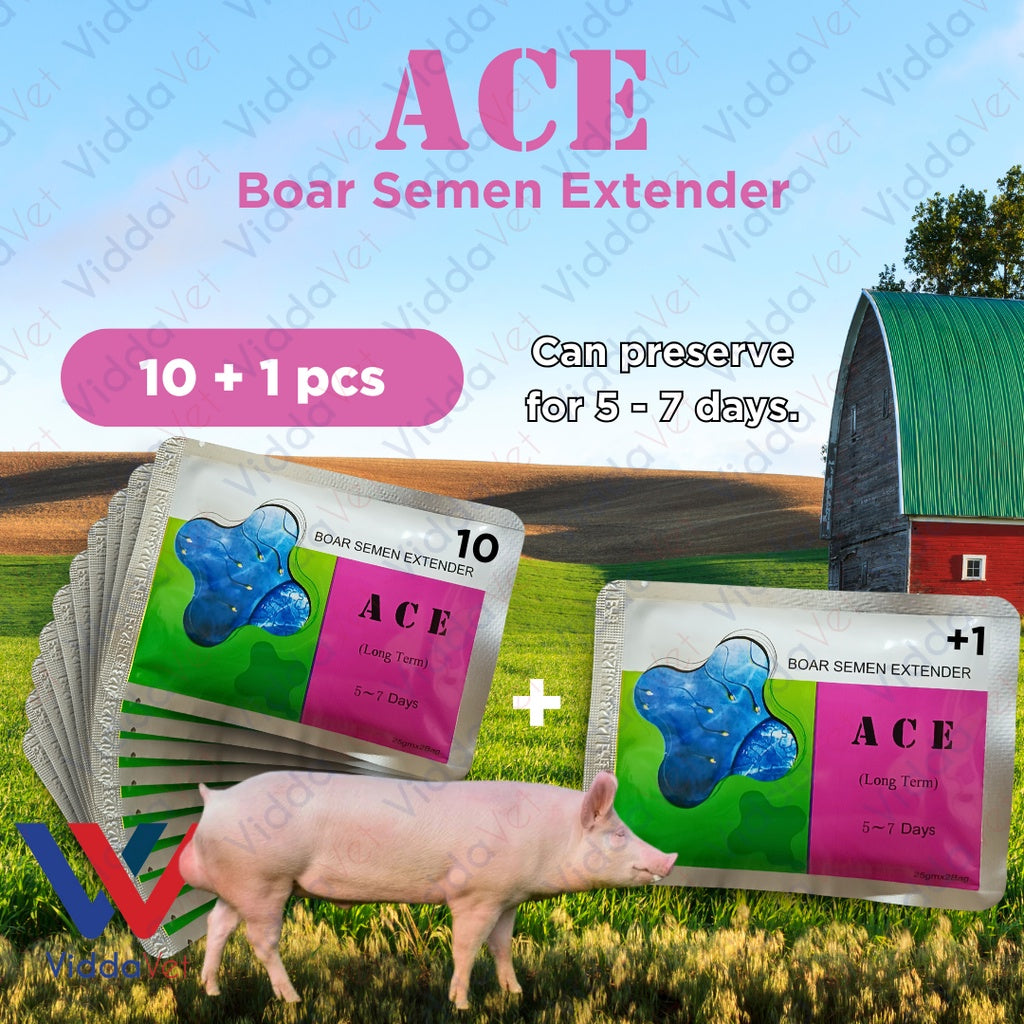 Ace Boar Semen Extender 5 to 7 days 10pcs + 1 Free
