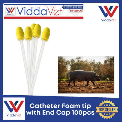 Foam Tip Catheter with End Cap for Gilts 100pcs