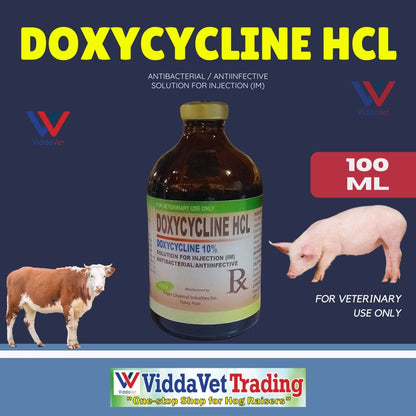 DOXYCYCLINE HCL 100ml