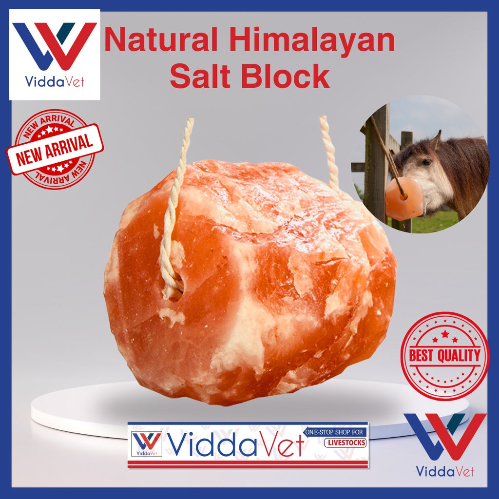 Natural Himalayan Salt Block