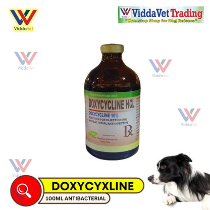 DOXYCYCLINE HCL 100ml