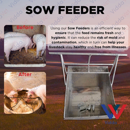Stainless Sow Feeder with 2 pcs Galvanize Doorlock