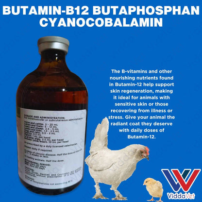 Butamin-B12 Butaphosphan Cyanocobalamin 100mL