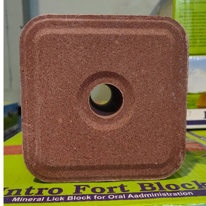 Mineral Block Intro Fort