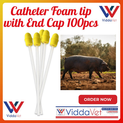 Foam Tip Catheter with End Cap for Gilts 100pcs