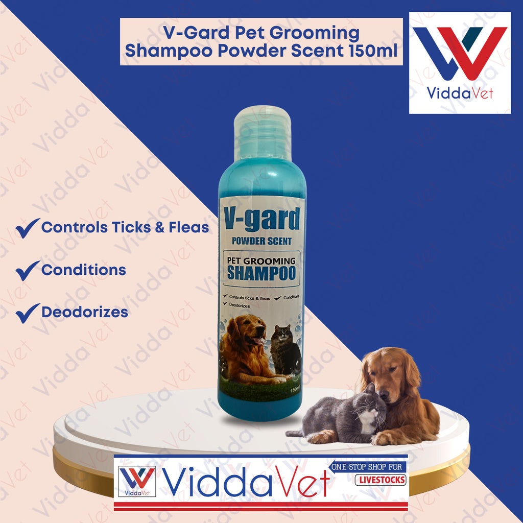 V-GARD Shampoo Powder Scent 250ml