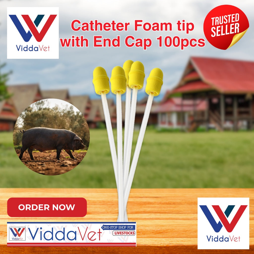 Foam Tip Catheter with End Cap for Gilts 100pcs
