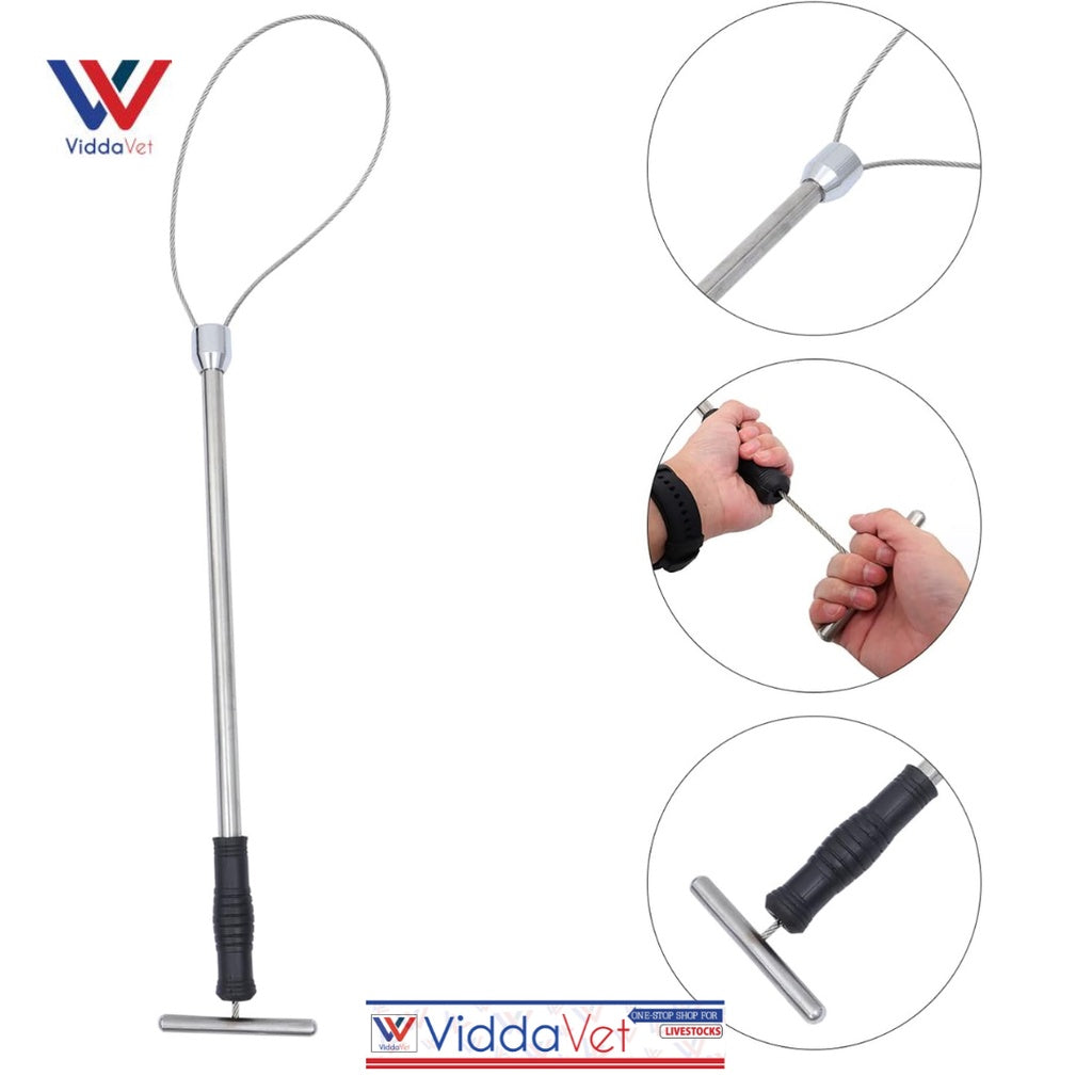 Heavy Duty Stainless Pig Restrainer