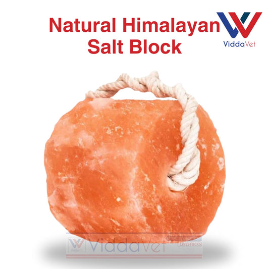 Natural Himalayan Salt Block