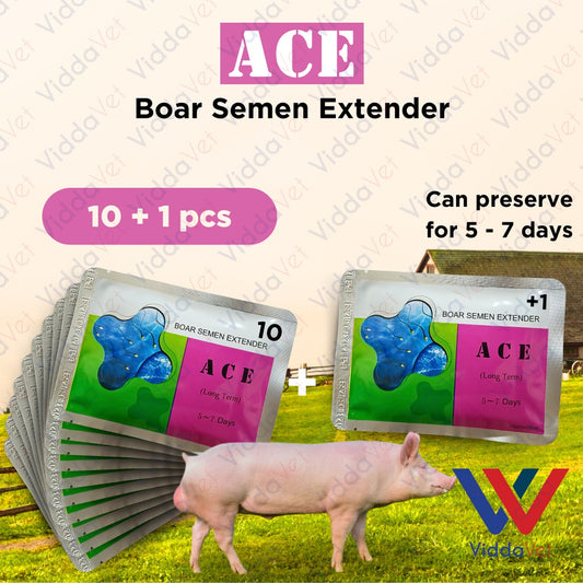 Ace Boar Semen Extender 5 to 7 days 10pcs + 1 Free
