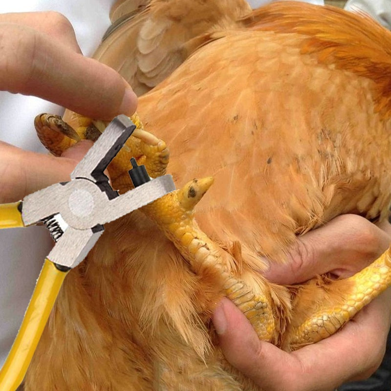 3 in 1 Game Cock Kit