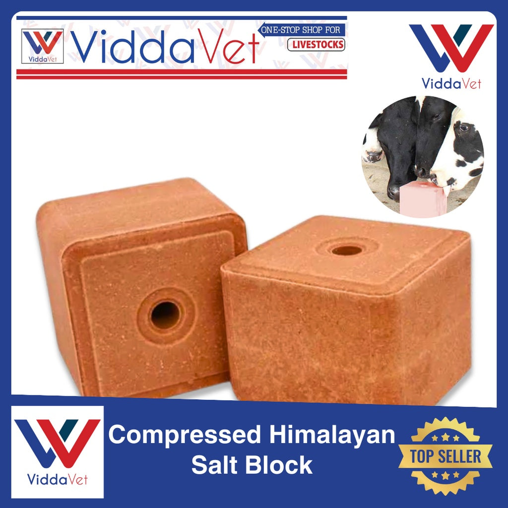 Pure Himalayan Mineral Block