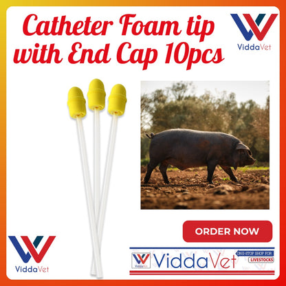 Foam Tip Catheter with End Cap for Gilts 10pcs