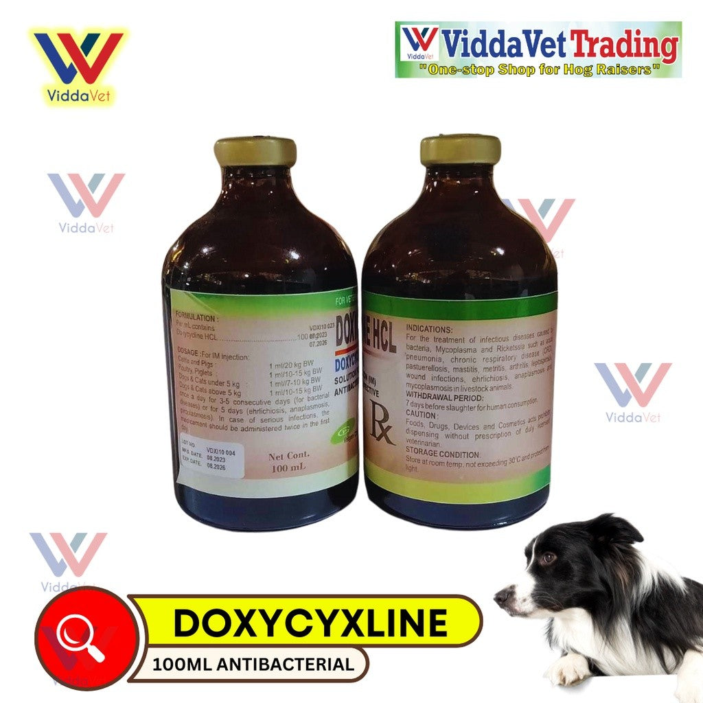 DOXYCYCLINE HCL 100ml