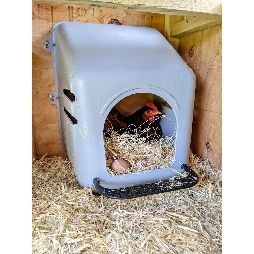 Chicken Nesting Box