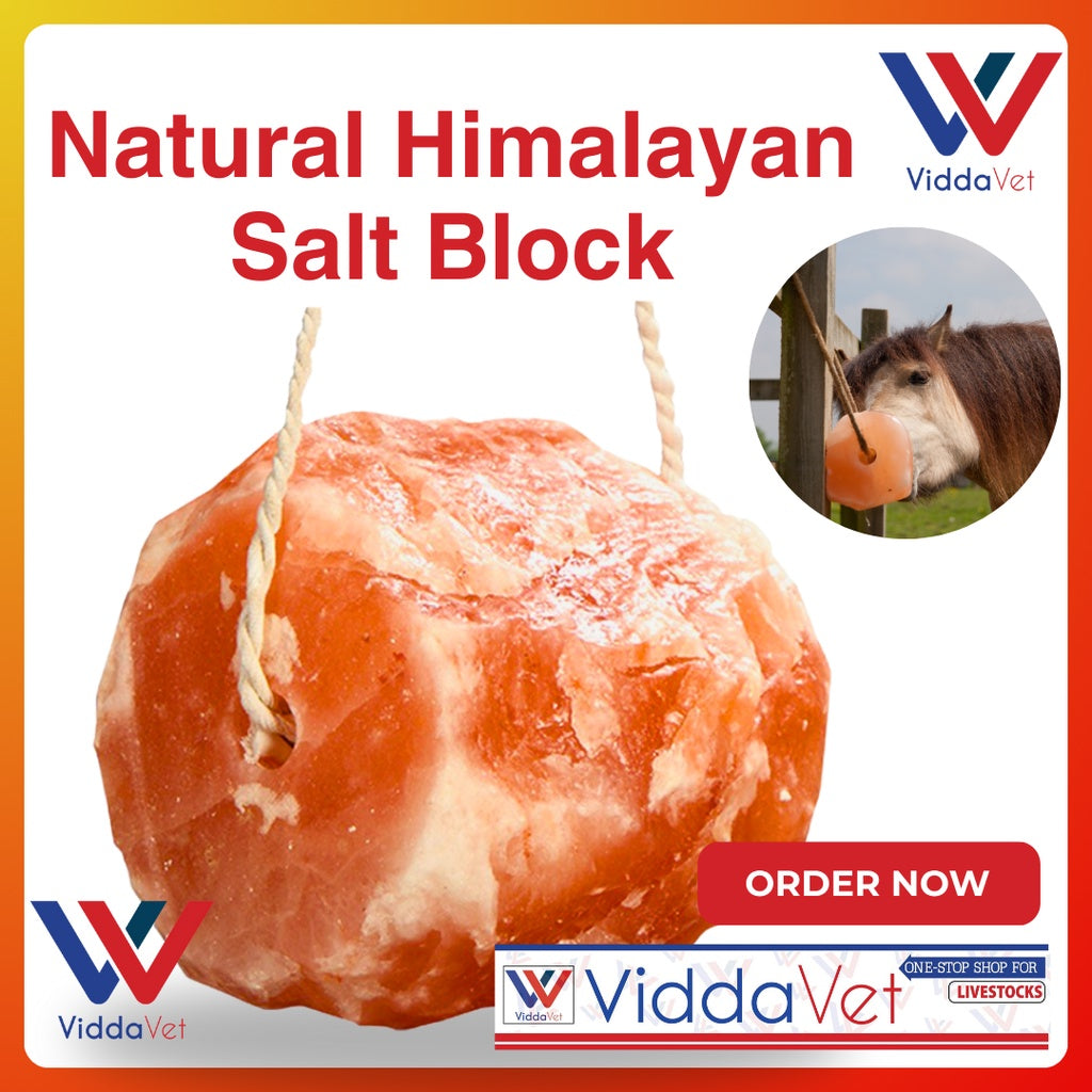 Natural Himalayan Salt Block