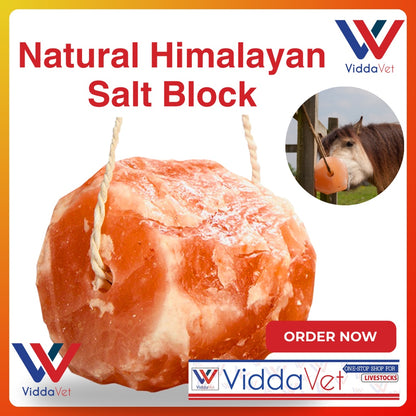 Natural Himalayan Salt Block