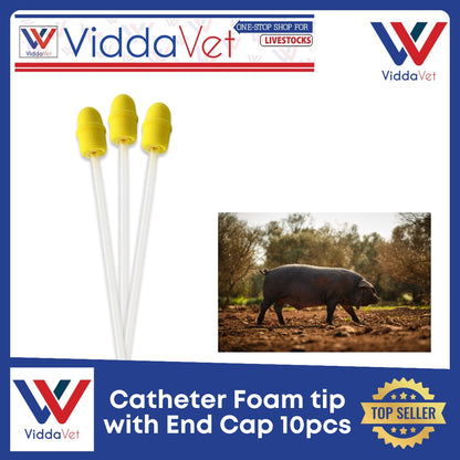 Foam Tip Catheter with End Cap for Gilts 10pcs