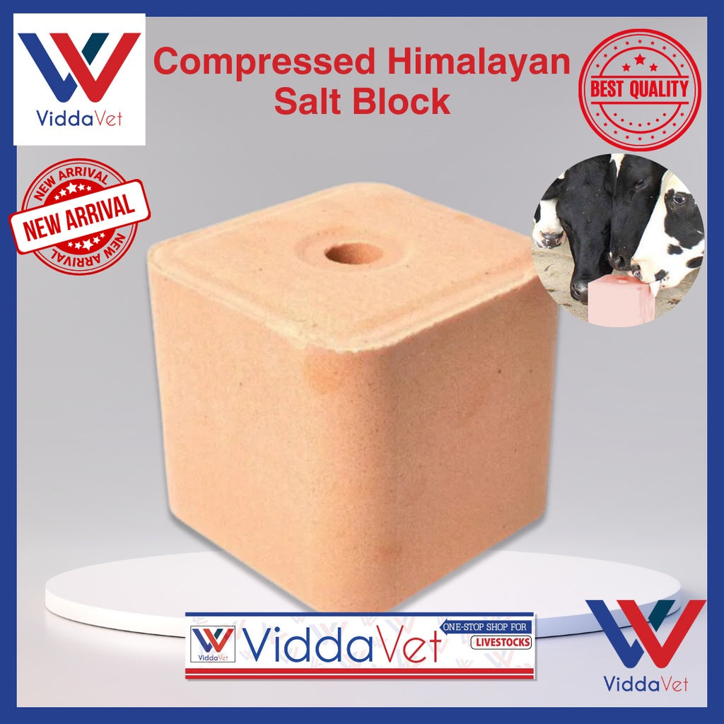 Pure Himalayan Mineral Block