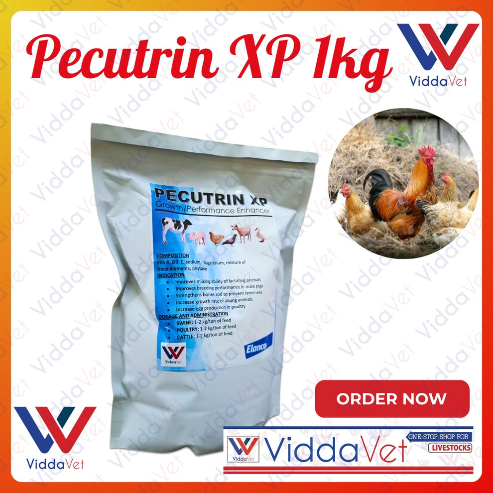 Pecutrin XP 1kg Growth Performance Enhancer for Cattle Pigs Poultry ...