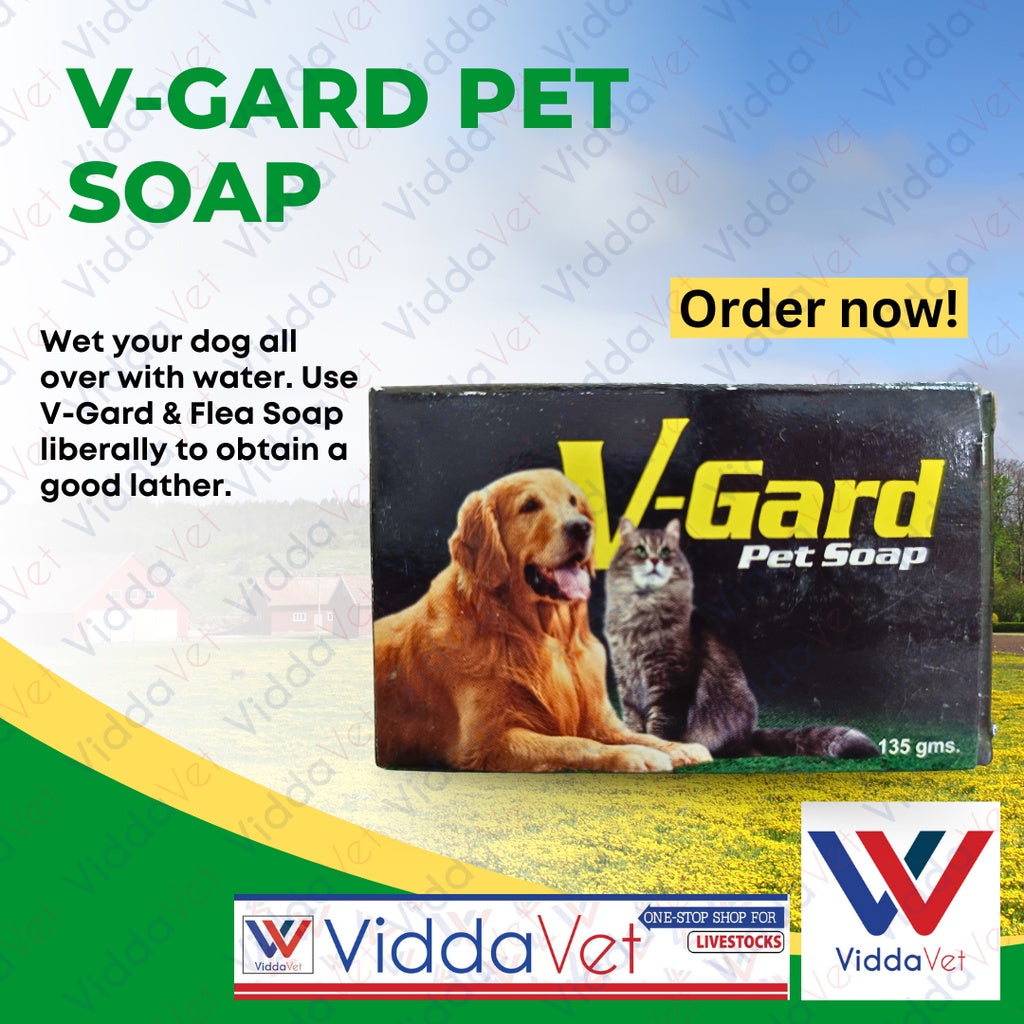 V-Gard Pet Soap
