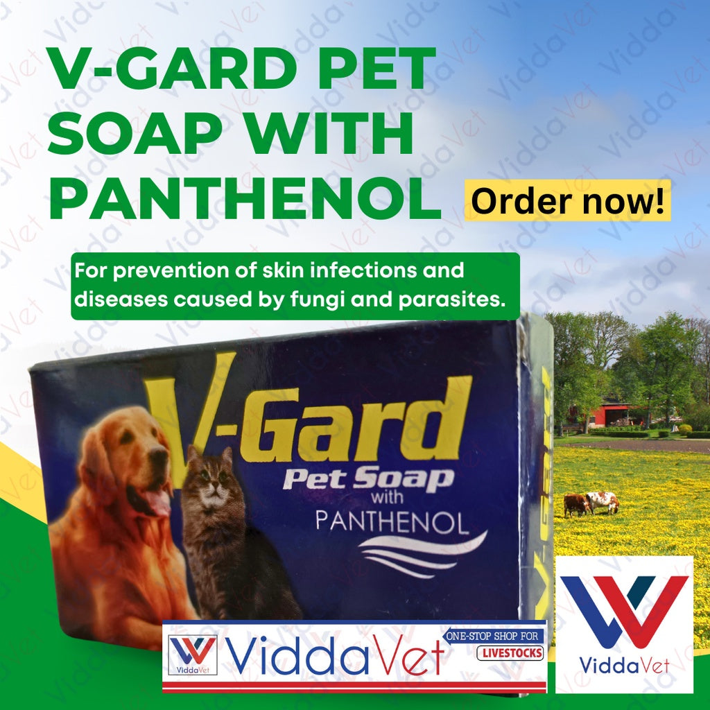 V-Gard Pet Soap with Panthenol