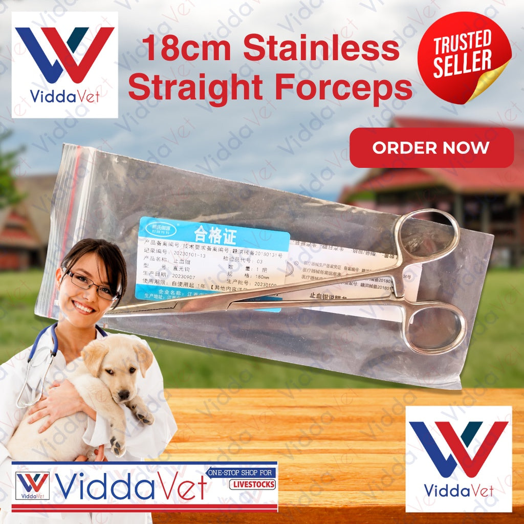 Forceps Straight Big 18cm