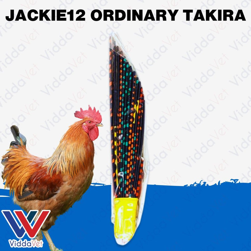 Jackie12 Ordinary Takira