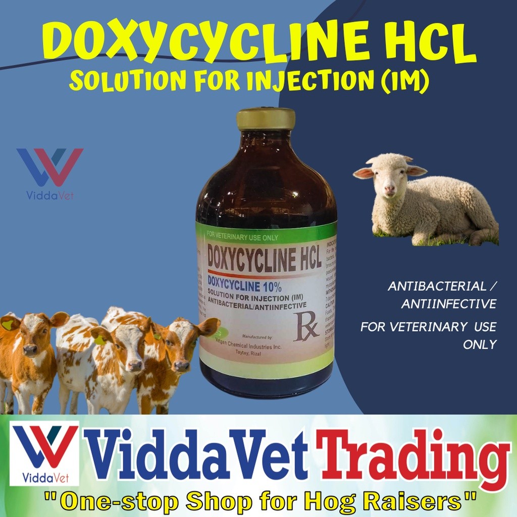 DOXYCYCLINE HCL 100ml