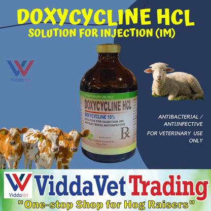 DOXYCYCLINE HCL 100ml