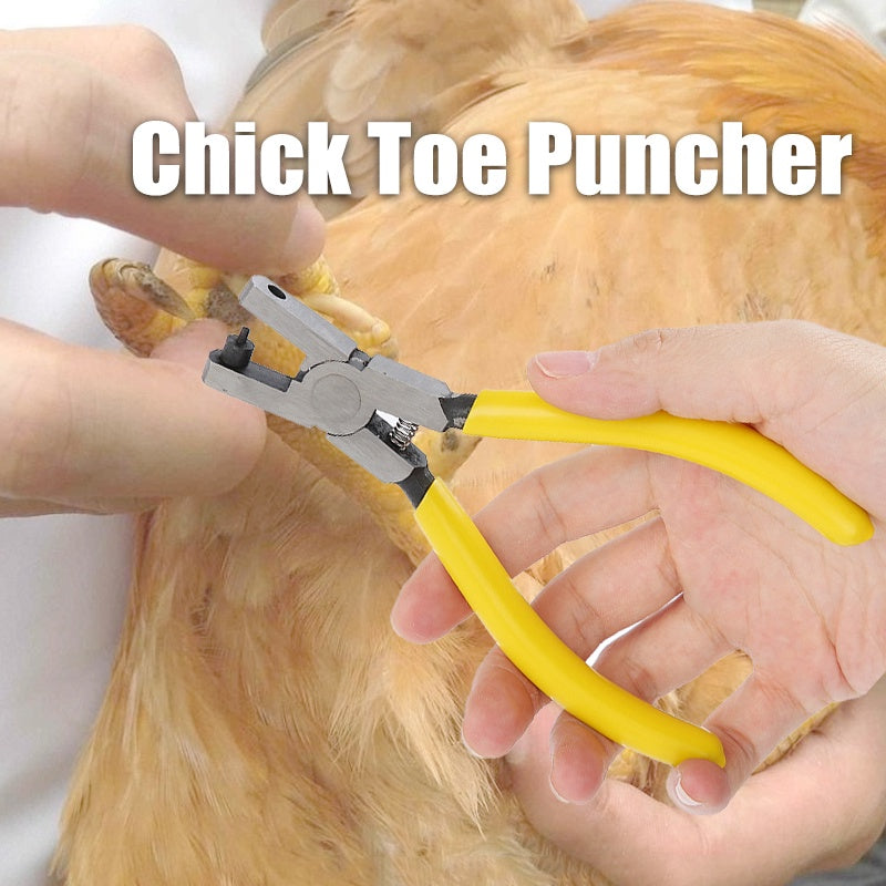 3 in 1 Game Cock Kit