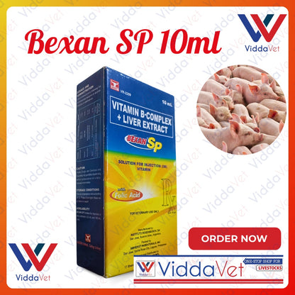 Bexan SP 10ml