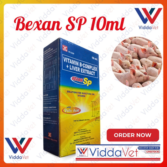 Bexan SP 10ml