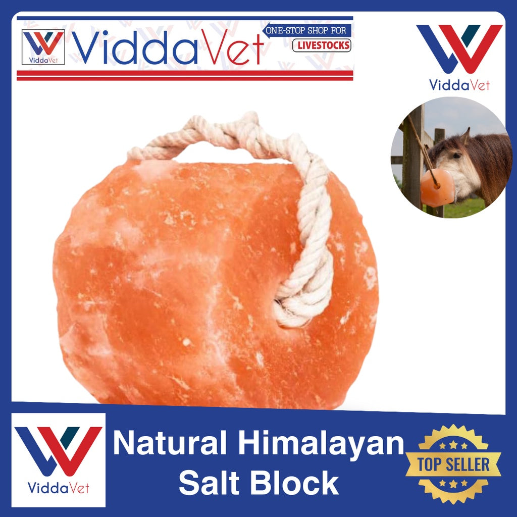 Natural Himalayan Salt Block