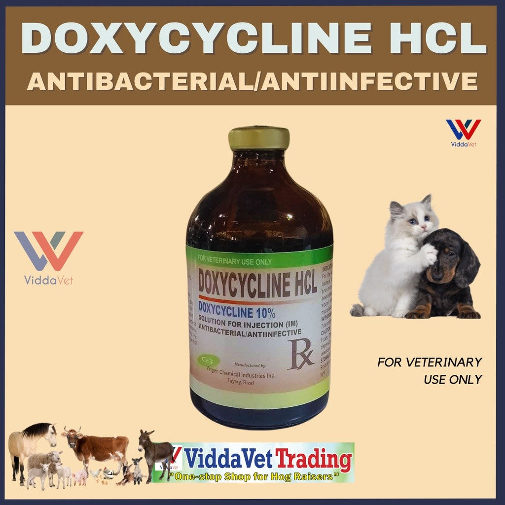 DOXYCYCLINE HCL 100ml