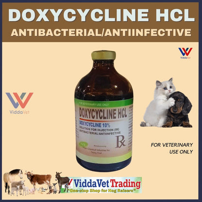 DOXYCYCLINE HCL 100ml