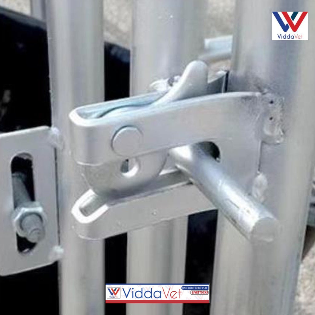 Galvanized Door Lock and Pig Cage Lock with Bar