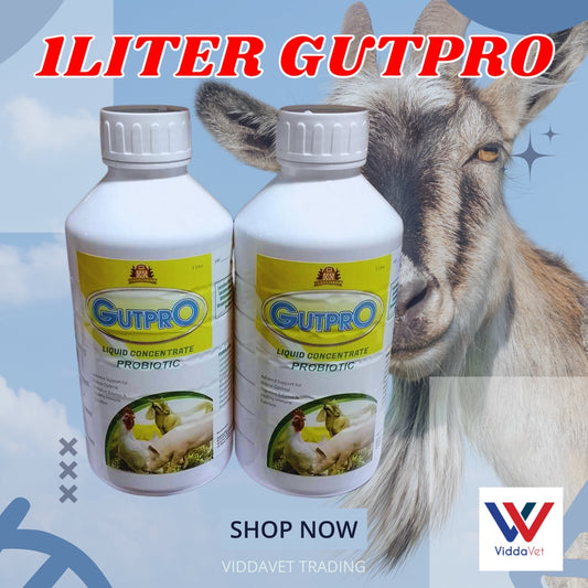 GutPro 1L