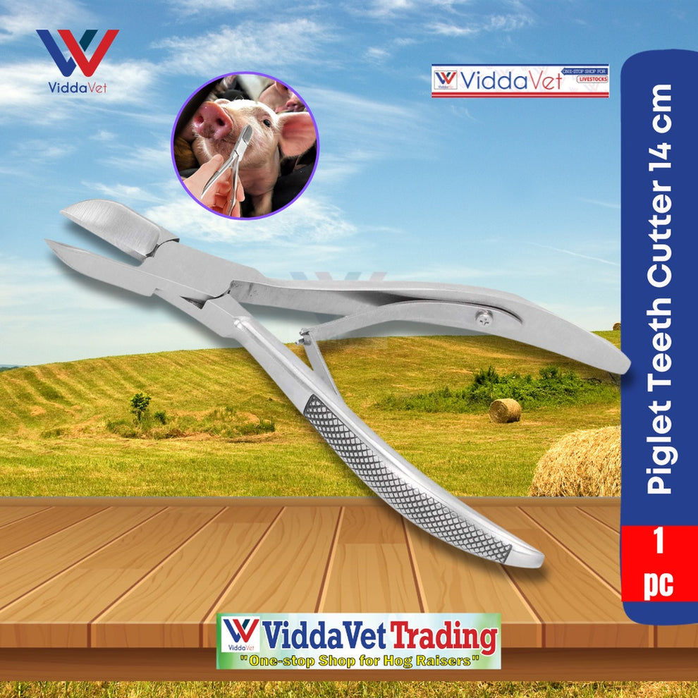 Professional Stainless Piglet Teeth Cutter - 12cm Veterinary Tool ...