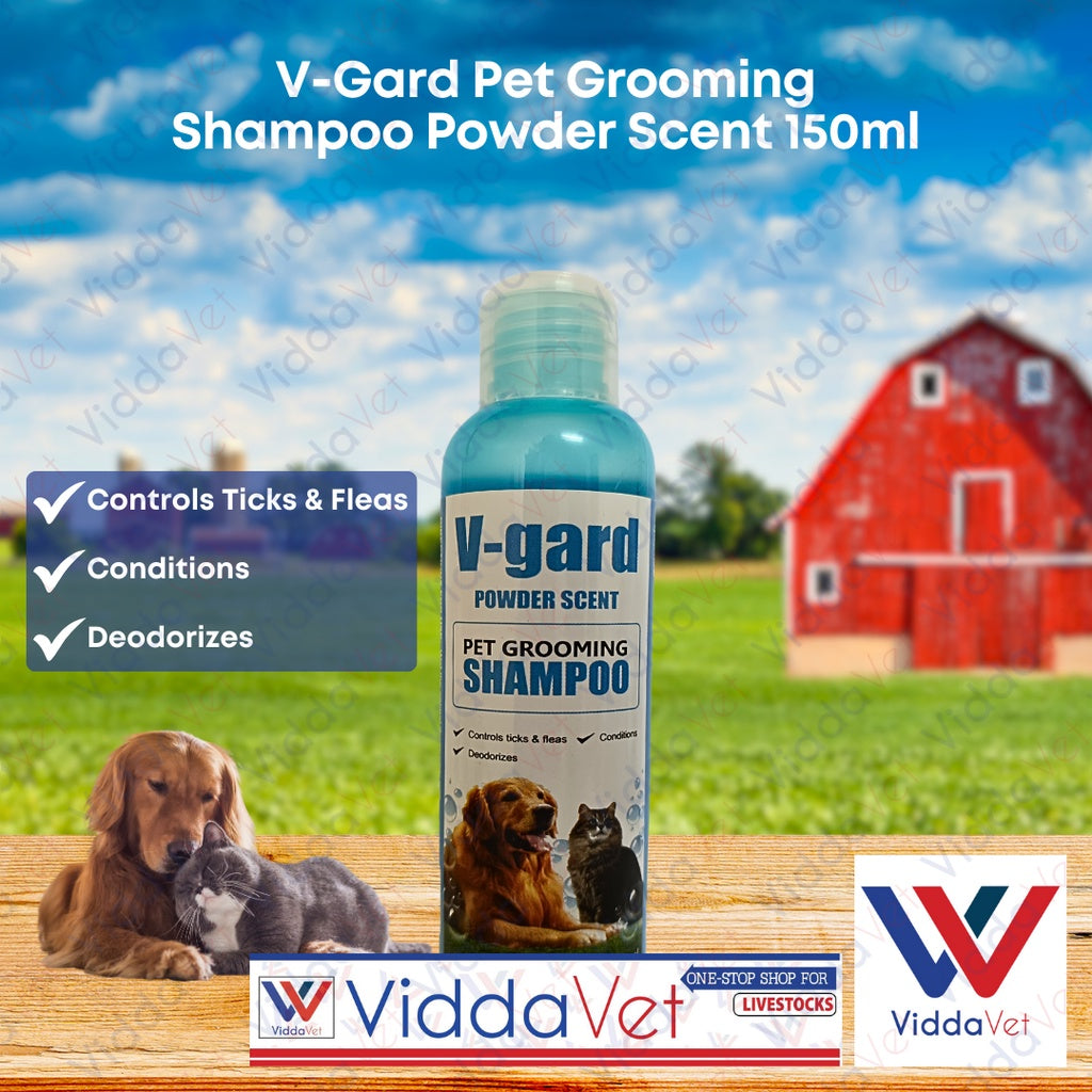 V-GARD Shampoo Powder Scent 250ml