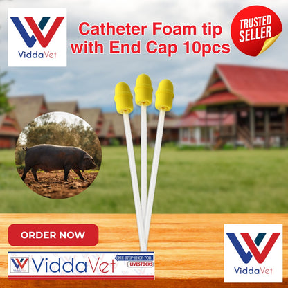 Foam Tip Catheter with End Cap for Gilts 10pcs