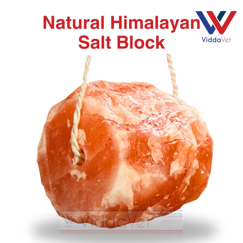 Natural Himalayan Salt Block